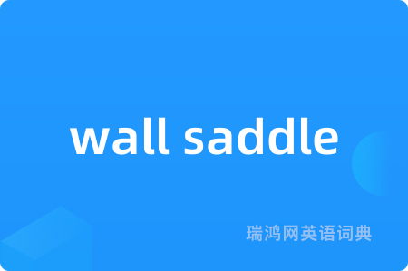wall saddle是什么意思,wall saddle的中文翻译 wall saddle